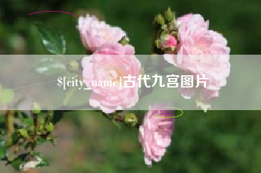 日喀则古代九宫图片