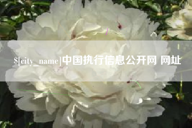 日喀则中国执行信息公开网 网址