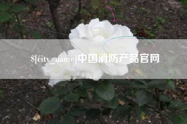 日喀则中国消防产品官网