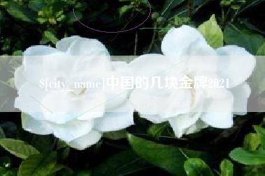 日喀则中国的几块金牌2021