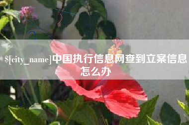 日喀则中国执行信息网查到立案信息怎么办
