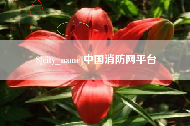 日喀则中国消防网平台
