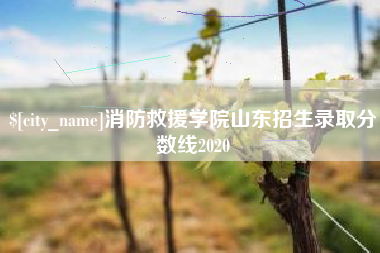 日喀则消防救援学院山东招生录取分数线2020