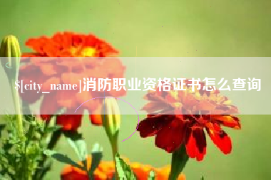 日喀则消防职业资格证书怎么查询