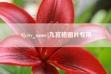 日喀则九宫格图片专用
