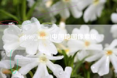 日喀则中国地图像素版