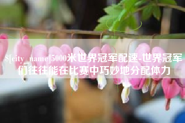 日喀则5000米世界冠军配速-世界冠军们往往能在比赛中巧妙地分配体力