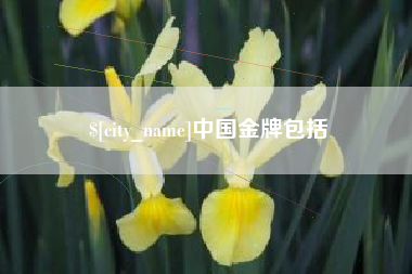 日喀则中国金牌包括