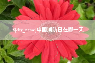 日喀则中国消防日在哪一天