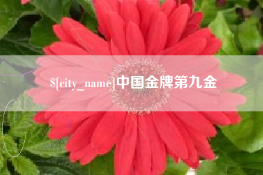 日喀则中国金牌第九金