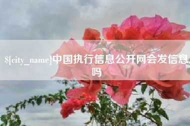 日喀则中国执行信息公开网会发信息吗