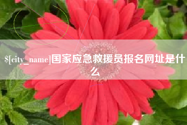 日喀则国家应急救援员报名网址是什么