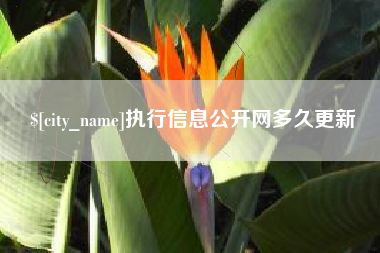 日喀则执行信息公开网多久更新