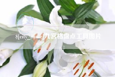 日喀则九宫格盘点工具图片