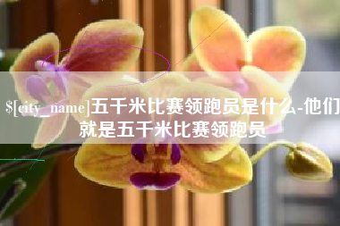 日喀则五千米比赛领跑员是什么-他们就是五千米比赛领跑员