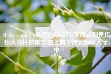 日喀则60米接力赛技巧-下压式则是传棒人将棒的前部由上向下传到接棒人手中