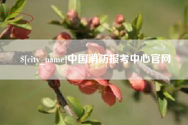 日喀则中国消防报考中心官网