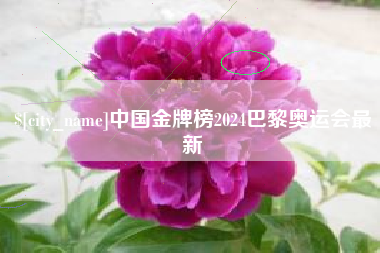 日喀则中国金牌榜2024巴黎奥运会最新