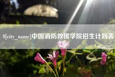 日喀则中国消防救援学院招生计划表