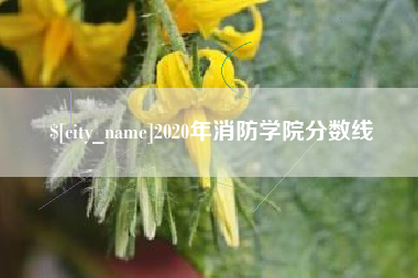 日喀则2020年消防学院分数线