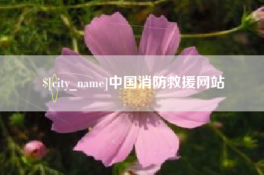 日喀则中国消防救援网站