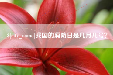 日喀则我国的消防日是几月几号？