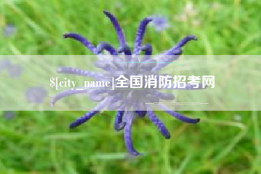 日喀则全国消防招考网