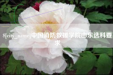 日喀则中国消防救援学院山东选科要求