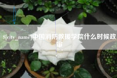 日喀则中国消防救援学院什么时候政审