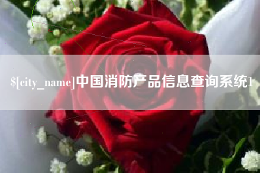 日喀则中国消防产品信息查询系统1