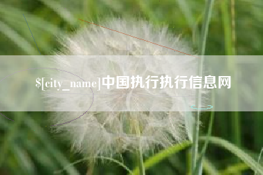 日喀则中国执行执行信息网