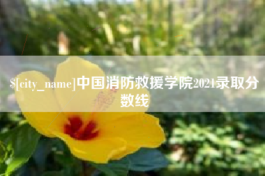 日喀则中国消防救援学院2021录取分数线
