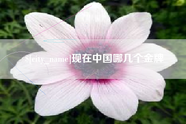日喀则现在中国哪几个金牌