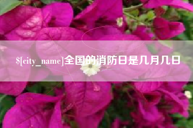 日喀则全国的消防日是几月几日