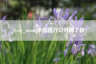 日喀则中国执行公开网下载
