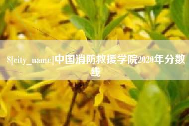 日喀则中国消防救援学院2020年分数线