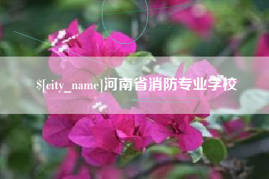 日喀则河南省消防专业学校