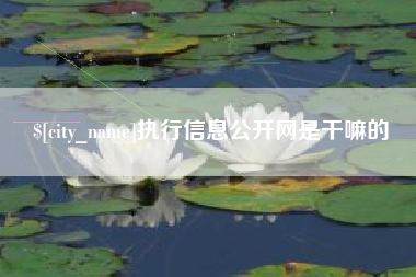 日喀则执行信息公开网是干嘛的