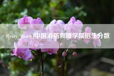 日喀则中国消防救援学院招生分数