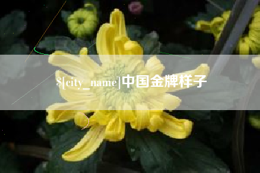 日喀则中国金牌样子