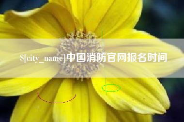 日喀则中国消防官网报名时间
