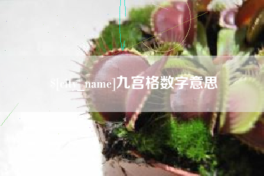 日喀则九宫格数字意思