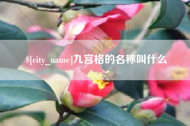 日喀则九宫格的名称叫什么