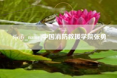 日喀则中国消防救援学院张勇