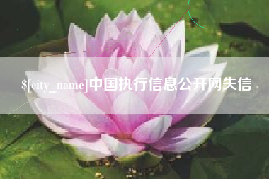 日喀则中国执行信息公开网失信