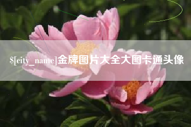 日喀则金牌图片大全大图卡通头像