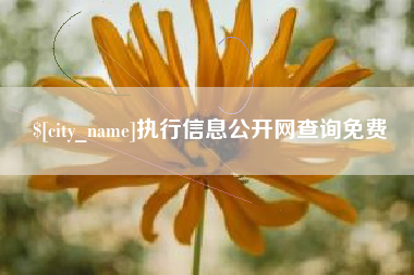 日喀则执行信息公开网查询免费