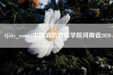 日喀则中国消防救援学院河南省2020